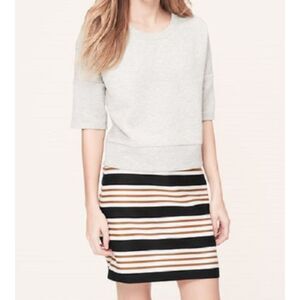 LOFT Striped Mini Skirt (Blue White Brown) Lined Sz 4P NWOT